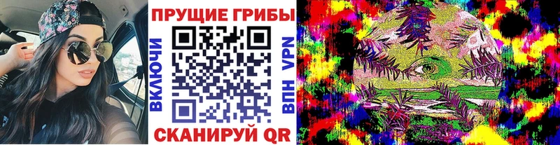 наркотики  Каменногорск  Галлюциногенные грибы MAGIC MUSHROOMS 